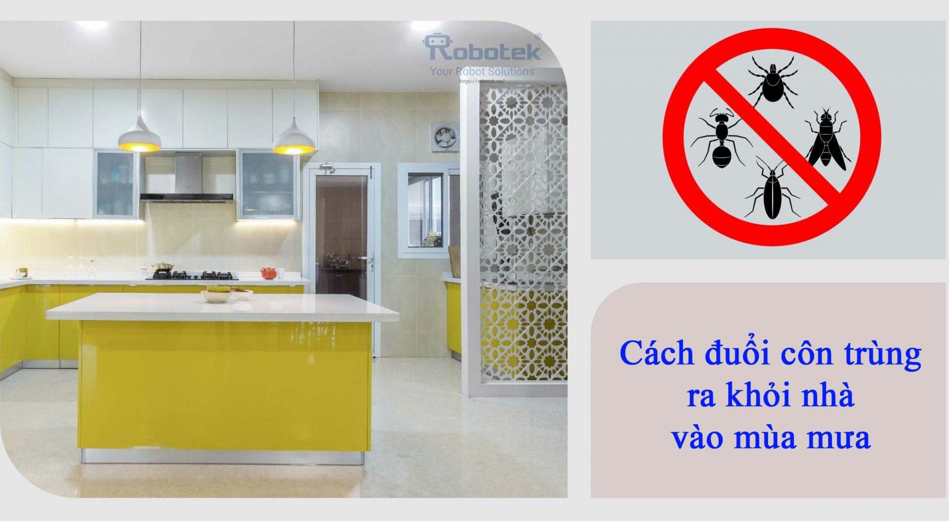 Đuổi côn trùng ra khỏi nhà vào mùa mưa