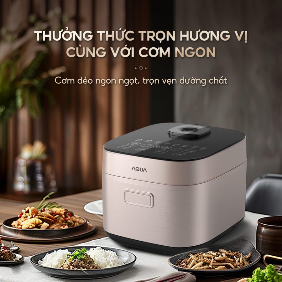 Nồi cơm điện tử AQUA AQS-RBC401R(N)-VN